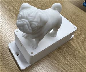 justway-dog.jpg