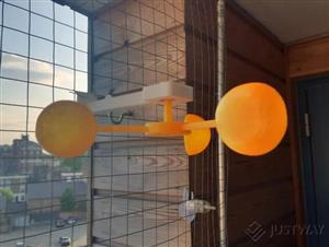 QQ截图20240221181948.jpg