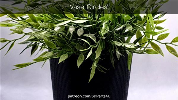 2024-3_Vase 'Circles'.jpg