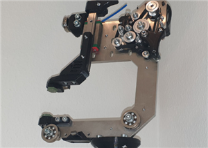 G-EDM Gapstorm Wire Module (Backbone)